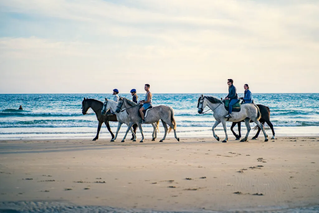 projížďka na koních na pláži při západu slunce