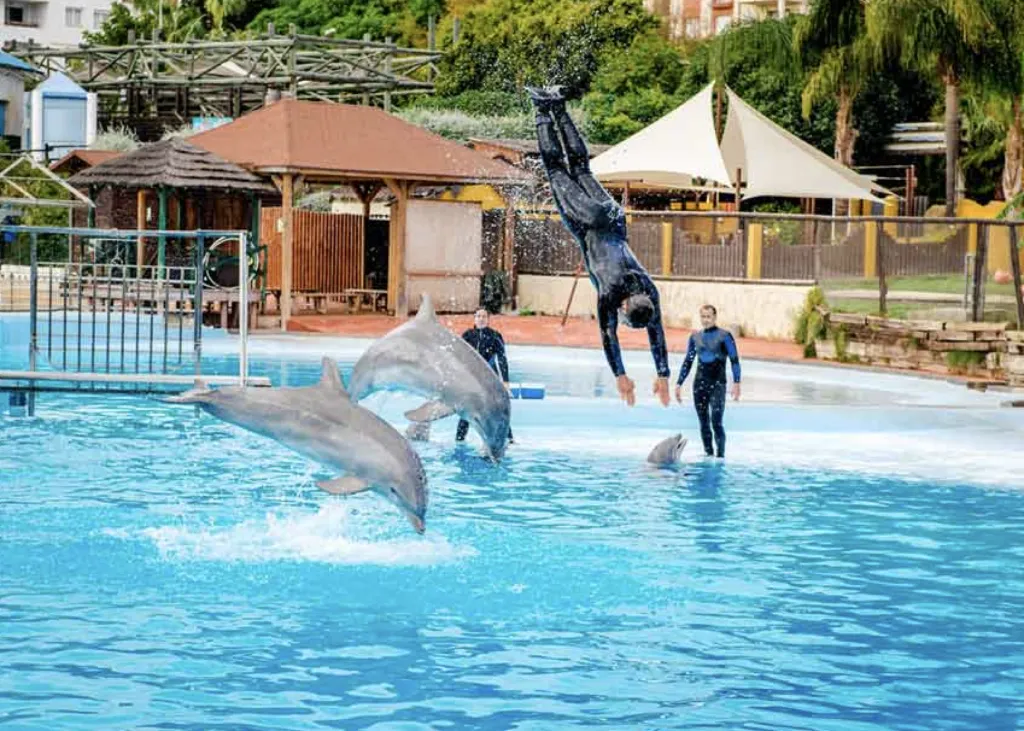 selwo marine vodní park delfíni costa del sol