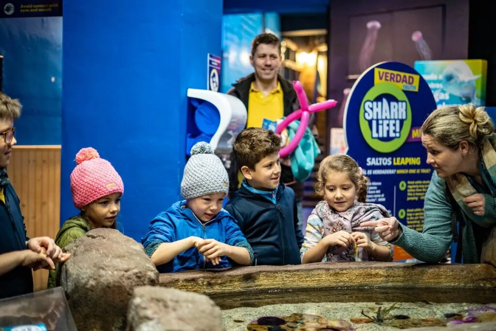 sea life benalmádena roadtrip španělsko